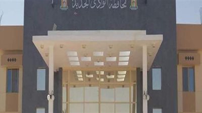 محافظ الوادي الجديد: انتهاء فحص عدد من طلبات التصالح