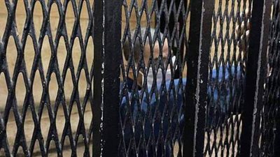 سفاح الجيزة يعترف بعلاقته بنادين.. ووالدتها تنهار والمحكمة تطردها من القاعة