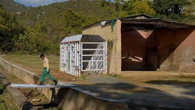 الأكثر وحدة .. فيل ينقذ حديقة حيوانات في إسلام آباد