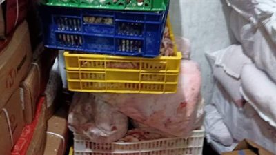 ضبط 14 طن أسماك ودواجن فاسدة بالجيزة