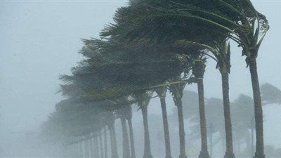 عاصفة القرش تقترب.. التنمية المحلية تحذر: ابتعدوا عن الأعمدة والأشجار