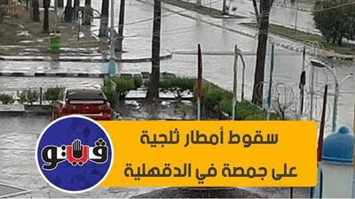 سقوط أمطار ثلجية على جمصة في الدقهلية | فيديو