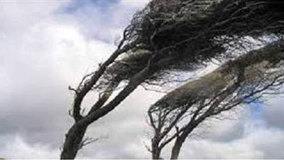 ستضرب 14 ولاية .. رياح قوية محملة بالرمال تثير أزمة بالجزائر