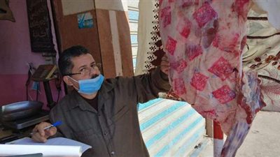 إعدام 1774 كيلو أغذية وعصائر فاسدة وتحرير 295 محضرا فى حملة لصحة الدقهلية |صور