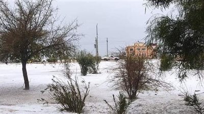 تساقط الثلوج على القنطرة شرق في الإسماعيلية | صور