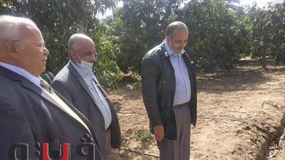 وكيل زراعة الإسماعيلية يتفقد المزارع المحولة للرى الحديث | صور