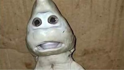 صياد يعثر على سمكة قرش بوجه بشري | صور