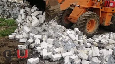 حملات مكثفة في 3 مراكز بالدقهلية لإزالة التعديات على الأراضي