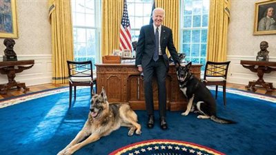 اقتناء الرؤساء للكلاب في البيت الأبيض.. بدأها جورج واشنطن.. وأنقذت حياة لينكوين.. وسببت مشاكل لجورج بوش.. وأحرجت العديد منهم