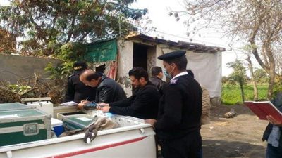 وزارة البيئة تشن حملة على مكامير الفحم بالقليوبية