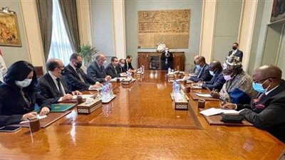 مصر تؤكد موافقتها على تكوين رباعية دولية لدفع المسار التفاوضي بقضية سد النهضة