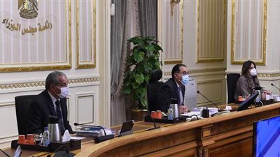 الحكومة توافق على إنشاء كلية الطب البيطري بجامعة عين شمس