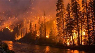 حريق ضخم يدمر 50 هكتارا من غابات شمال طوكيو