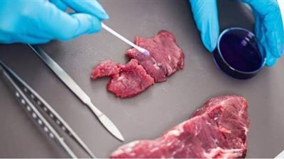 5 نصائح للوقاية من الإصابة بالسالمونيلا