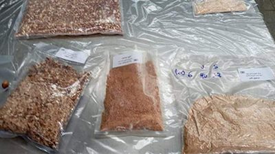 بديلا للسكر بنسبة 60%.. الزراعة تفتتح أول خط لإنتاج مسحوق التمور