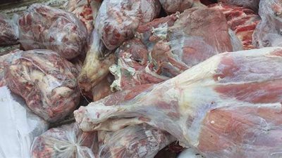 التحفظ على 9 أطنان مصنعات دواجن ولحوم مجمدة فاسدة لفحصها في الجيزة