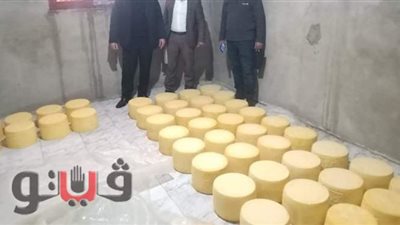 ضبط طن جبن رومى بمصنعين غير مرخصين في الإسماعيلية | صور