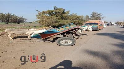 مصرع 3 أطفال غرقا إثر انقلاب «عربة كارو» في مصرف بالشرقية