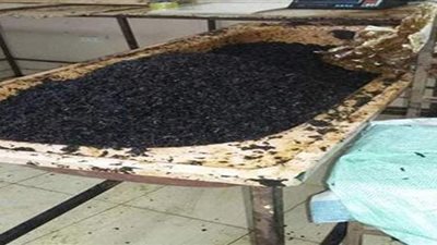 العثور على 340 طن مواد إنتاج مجهولة المصدر داخل مصنع معسل بالمنوفية