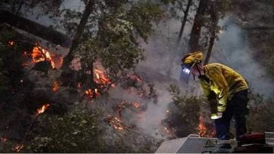 حريق داخل مخزن لقطع غيار السيارات خلف قسم أول طنطا