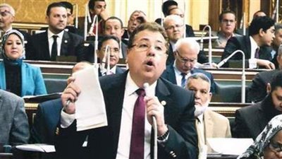 برلماني: تعويم الجنيه كان أهم خطوات الإصلاح الاقتصادي