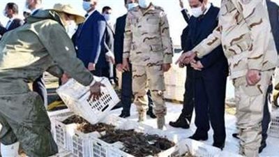مستجدات دعم الصيادين.. السيسي يكلف بحمايتهم وإمدادهم بالمستلزمات والمعدات