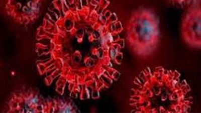 بينهم سيدة مسنة.. تعافي 3 حالات من كورونا بمستشفى قها بالقليوبية