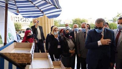 وزير القوى العاملة ومحافظ الإسكندرية يطلقان مبادرة 