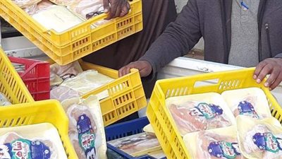 ضبط ربع طن دواجن فاسدة في الأقصر