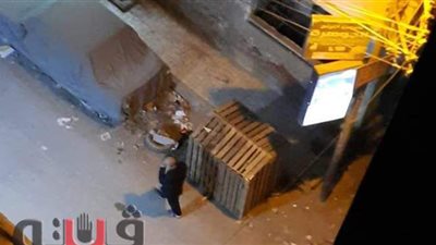 بيت للكلاب بأحد شوارع طنطا يثير رعب الأهالي والمارة