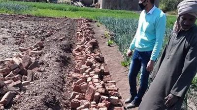 إزالة حالة تعد على أرض زراعية في البعيرات بالأقصر