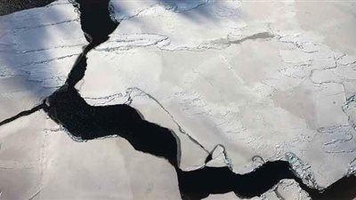 كتلة جليدية ضخمة تنفصل عن القارة القطبية الجنوبية | فيديو