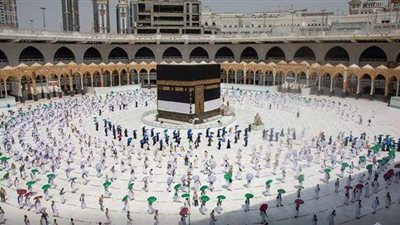 على جمعة يوضح شروط وجوب العمرة وفضلها