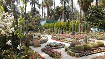 الزراعة: أولوية في الحجز للعارضين في معرض زهور الربيع العام الماضي خلال الدورة الجديدة