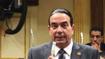 نائب ينتقد قلة عدد مواد قانون عمليات الدم ويطالب بتعديل اسمه