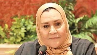 قوانين لها أولوية أمام مجلس النواب.. برلمانية تكشفها