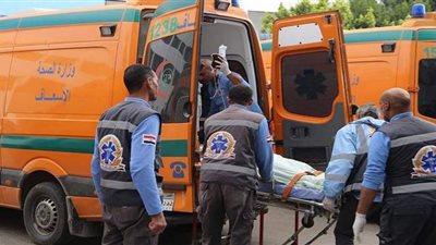 إصابة ١١ شخصا بحادث تصادم سيارتين بطريق 