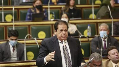 وكيل البرلمان يطالب بالتوسع في المدن المتخصصة بكافة الصناعات