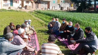 الزراعة: 19 مدرسة حقلية في 10 محافظات خلال أسبوع لتوعية المزارعين والمربين