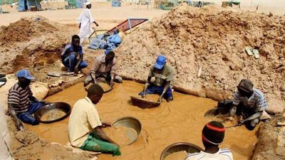 في بطون الإبل وأرحام النساء.. كيف تهرب 