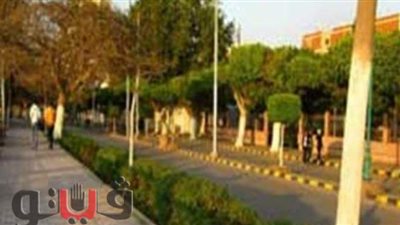 فصل الكهرباء عن 5 مناطق بقليوب.. غدا