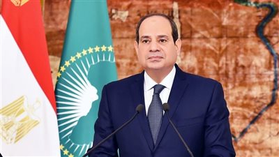 السيسي يبحث مع 