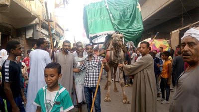 مولد «أبو الجود».. حكايات أهالي الأقصر عن صاحب المقام