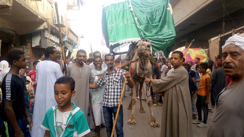 فيتو