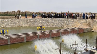 13 مليون جنيه تكلفة المرحلة الأولى لتطوير بحيرة قارون في الفيوم