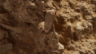 العثور على عظام بشرية عمرها 560 ألف سنة في فرنسا