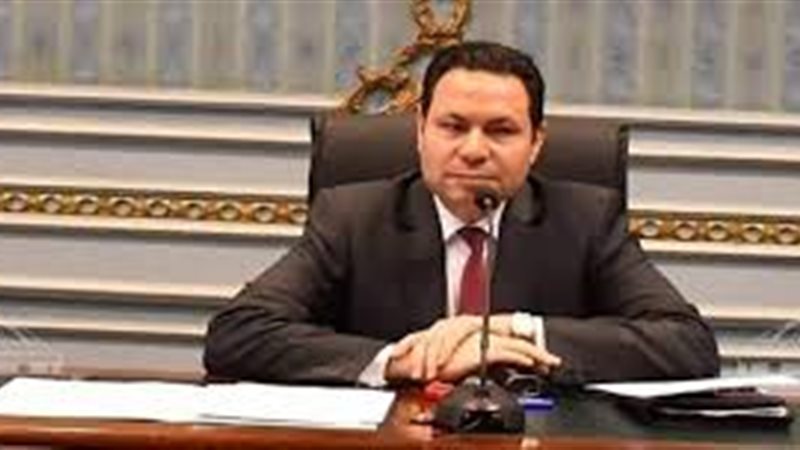  النائب هشام الحصرى