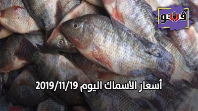 أسعار الأسماك اليوم 2019/11/19.. وكيلو البلطي بـ26 جنيها