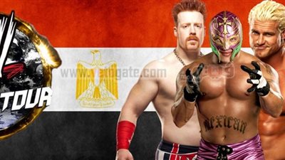 العامرى يتدخل لإقامة مهرجان مصارعة المحترفين بمشاركة نجوم wwe