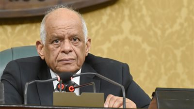 على عبد العال: لا توجد قوة في العالم تستطيع ضبط الذوق العام